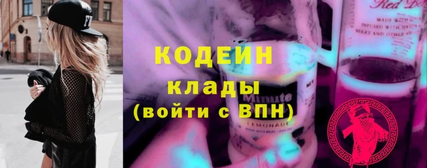 индика Карталы
