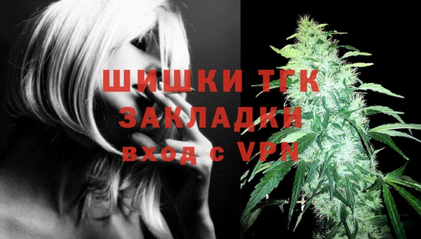 индика Карталы