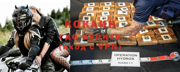 индика Карталы