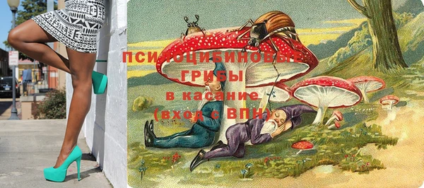 mix Карпинск