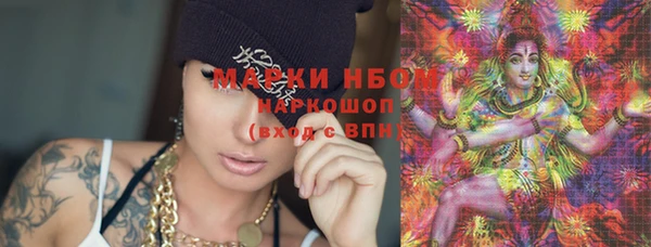 индика Карталы