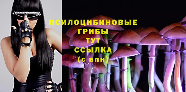 mix Карпинск