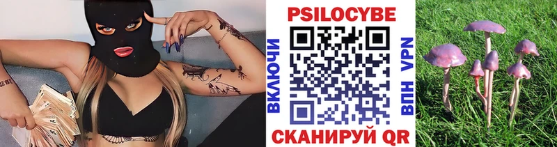 Купить  Звенигово  Галлюциногенные грибы мицелий 